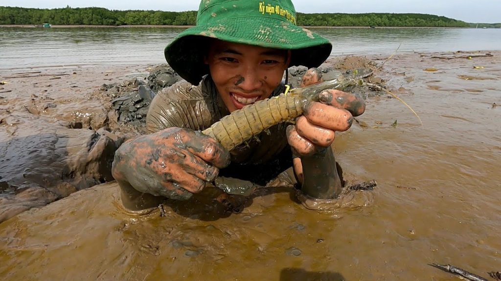 đánh bắt tôm tích cà mau